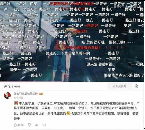 娱乐圈吃瓜游戏视频大全,游戏视频大全揭秘明星幕后趣事