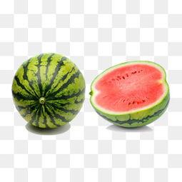 娱乐吃瓜素材视频大全