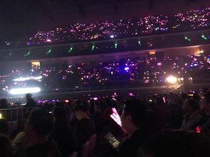 娱乐吃瓜君演唱会,狂欢之夜，星光熠熠